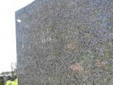 image of grave number 846204